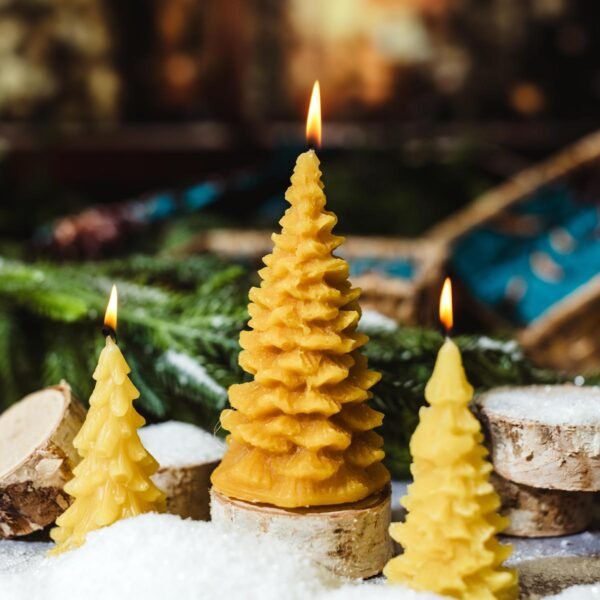 Beeswax Pine Tree Candle Set